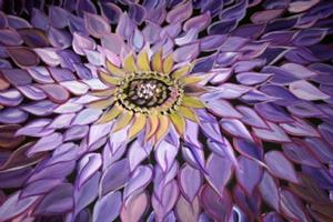 Detail Image for art PURPLE FLOWER-SOLD