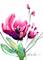 Art: Abstract Floral 20 by Artist Kathy Morton Stanion