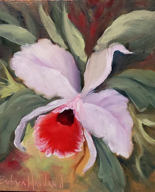 Art: Cattleya  Orchid by Artist Barbara Haviland