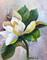 Art: Magnolia by Artist Barbara Haviland