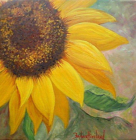 Sunflower - by Barbara Haviland from Floral-Flowers