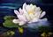 Art: White Water Lily and Koi Pond by Artist Barbara Haviland