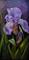 Art: Iris in Purples  SOLD by Artist Barbara Haviland