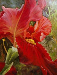 Detail Image for art Abstract IRIS