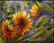 Art: Sunlit Sunflowers - Sold by Artist Patricia  Lee Christensen