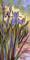 Art: Irises Homage to Vincent by Artist Patricia  Lee Christensen