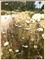Art: Prairie Lace by Artist Patricia  Lee Christensen