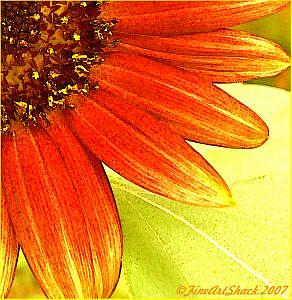 Art: Cliche' Daisy Series #3 by Artist Lar Shackelford
