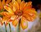 Art: GERBERA DAISY 28 by Artist Marcia Baldwin
