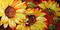 Art: SUNFLOWERS THREE by Artist Marcia Baldwin