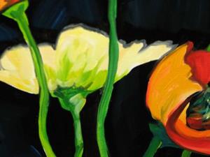Detail Image for art EIGHT POPPIES