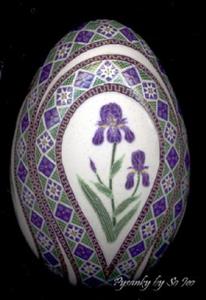 Detail Image for art Purple Bearded Iris