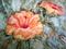 Art: Natalie's Hibiscus  by Artist Shoshana Avramovitz
