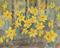 Art: Daffodils by Artist Carol Thompson