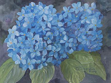 Art: Blue Hydrangea by Artist Carol Thompson
