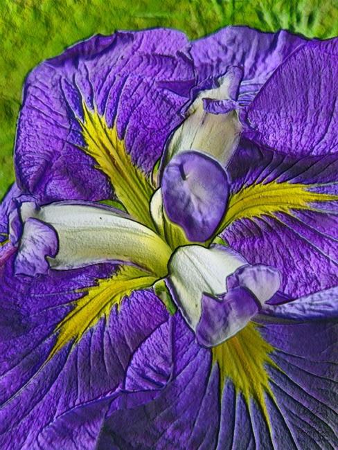 Art: Purple Majesty by Artist Deanne Flouton