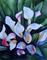 Art: Calla Lilies SOLD by Artist Kathy Haney