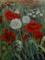 Art: Poppies and Dandelion Clocks by Artist John Wright