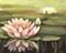 Art: Water Lilies   by Artist Cynthia Schmidt