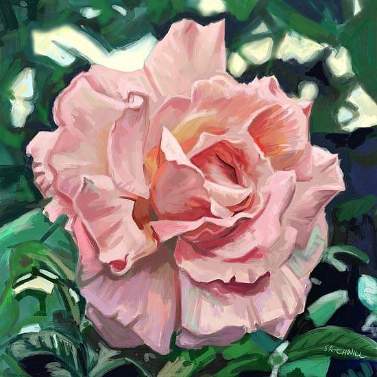 Art: A Rose By Any Name by Artist Mark Satchwill