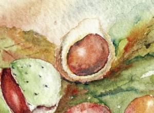 Detail Image for art Conkers (Horse Chestnuts)