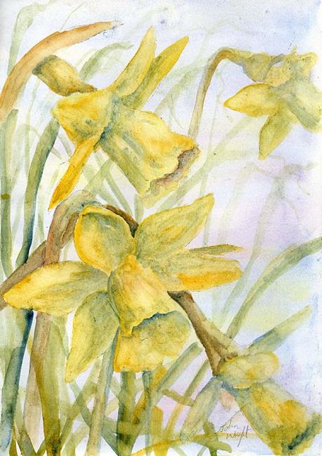 Art: Daffodils (28) by Artist John Wright