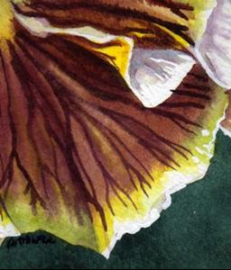 Detail Image for art Pansy II