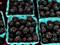 Art: Blackberries--Yum! by Artist Deanne Flouton