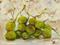 Art: Green Grapes by Artist Delilah Smith