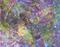Art: MOON DUST (SOLD) by Artist Dawn Hough Sebaugh