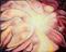 Art: Soul Flow by Artist Doe-Lyn