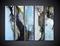 Art: Somewhere inside SOLD by Artist Kathy Kohl