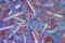 Art: TWIST OF FATE (SOLD) by Artist Dawn Hough Sebaugh