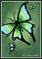 Art: Butterflies 4 by Artist Elaina Wagner