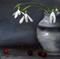 Art: Snowdrops and Cherries by Artist Christine E. S. Code ~CES~