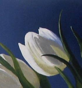 Detail Image for art White Tulips