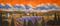 Art: Tuscan Lavender by The Road by Artist Virginia Kilpatrick