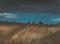 Art: Summer Night by Artist Aimee L. Dingman