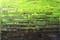 Art: Lime Green Abstraction 92 (s) by Artist Luba Lubin