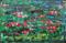 Art: Pink Water Lilies (a) by Artist Luba Lubin