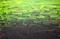 Art: Lime Green Abstraction - 116 (s) by Artist Luba Lubin