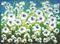 Art: Field of White Flowers (s) by Artist Luba Lubin