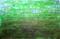 Art: Green Abstraction 132 (s) by Artist Luba Lubin