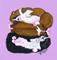 Art: Puppy Breath by Artist Cathy Santarsiero