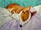 Art: The Nap by Artist paintedbyevie