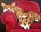 Art: Lupi & Petunia by Artist paintedbyevie