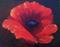 Art: Poppy by Artist Torrie Smiley