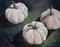 Art: The White Pumpkins by Artist Torrie Smiley