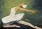 Art: The Swan II by Artist Torrie Smiley