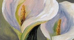 Detail Image for art Claudia's Calla Lilies 